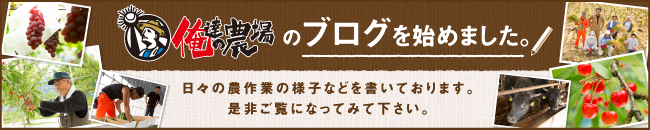 ブログはじめました