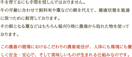 牛を育てるにも手間を惜しんではおりません。牛の年齢に合わせて飼料米や藁などの餌を代えて、健康状態を最適に保つために飼育しております。その餌となる藁などはもちろん稲刈り時に農場から取れた物を使っております。この農畜の循環におけるこだわりの農畜産法が、人体にも環境にも優しく安全・安心で、そして美味しいものが生まれる仕組みなのです。